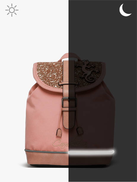 Rugzak 1 Compartiment Cameleon Roze vintage fantasy SD25 ander zicht 7